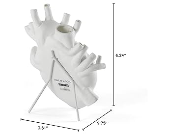 Amazon.com: Seletti Love in Bloom Heart Vase, White : Home
